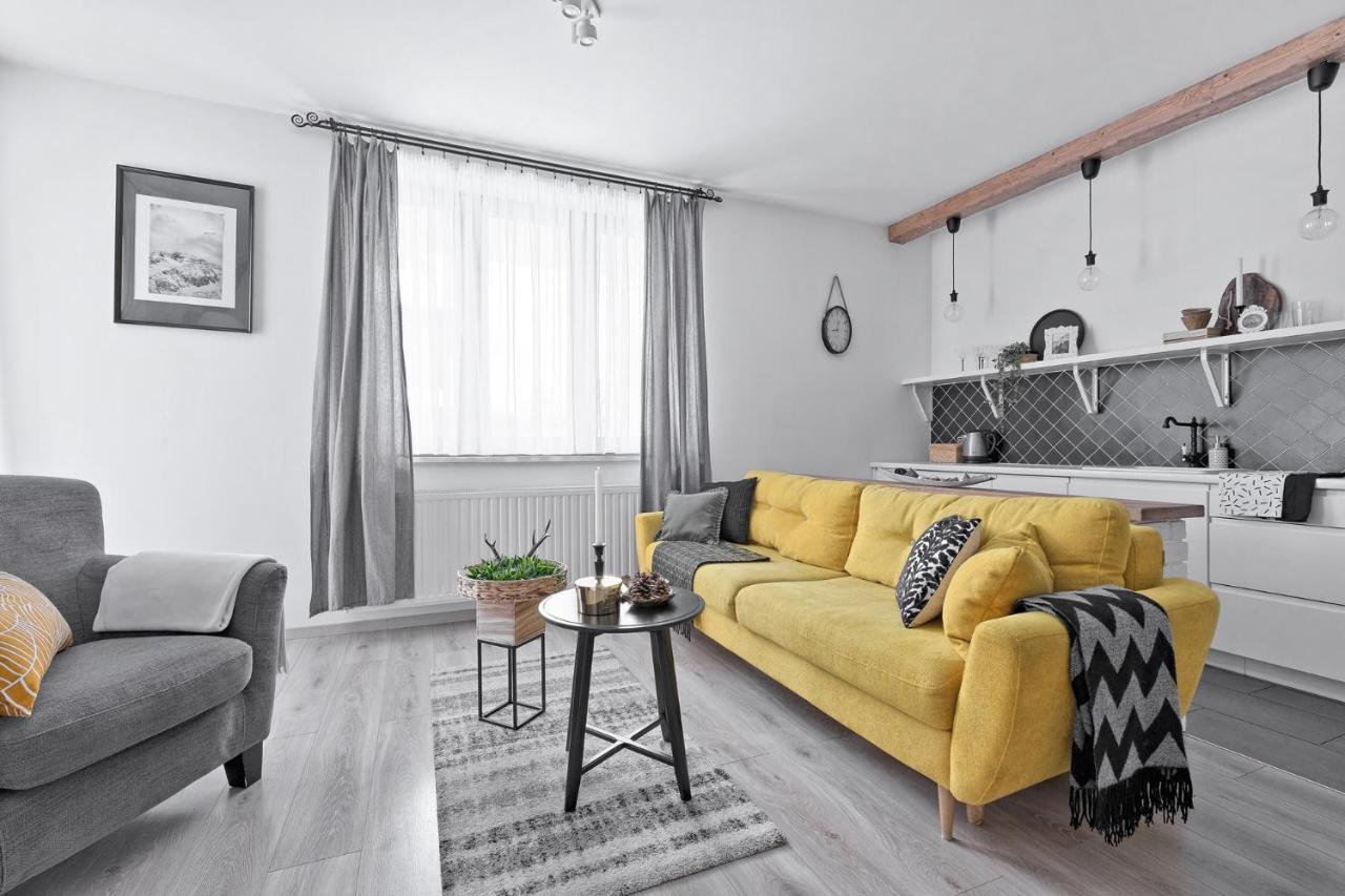 Apartament Granitica Nellin - Centrum 扎科帕内 外观 照片