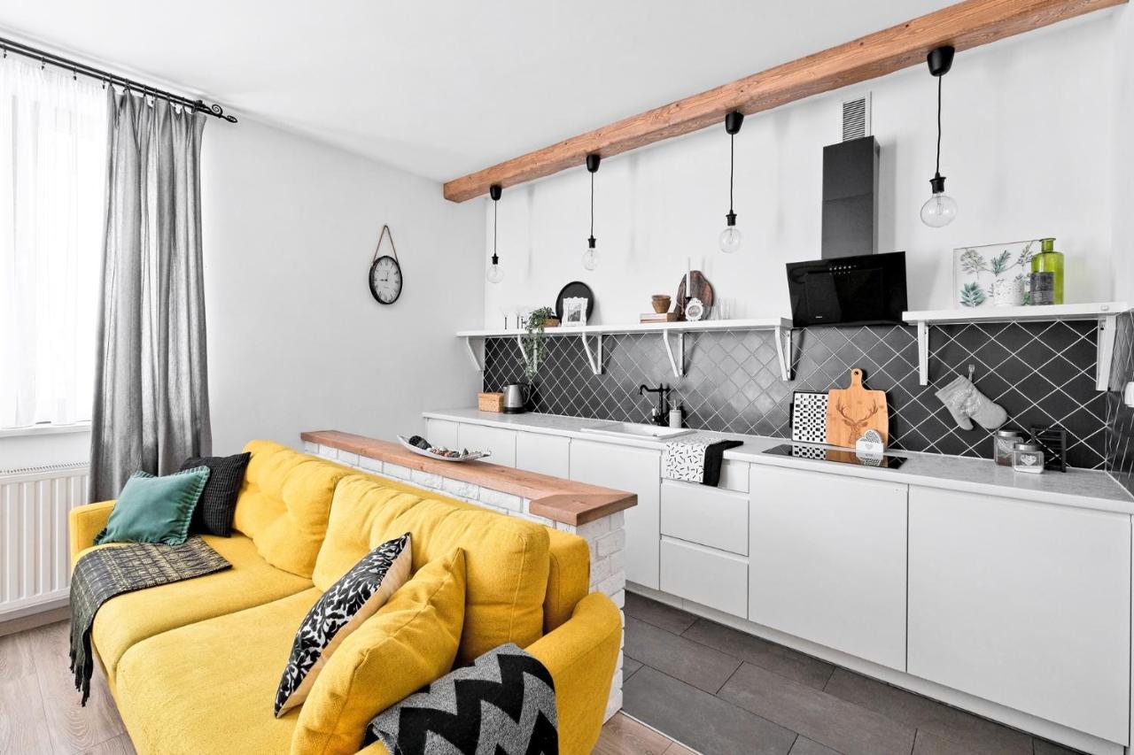 Apartament Granitica Nellin - Centrum 扎科帕内 外观 照片